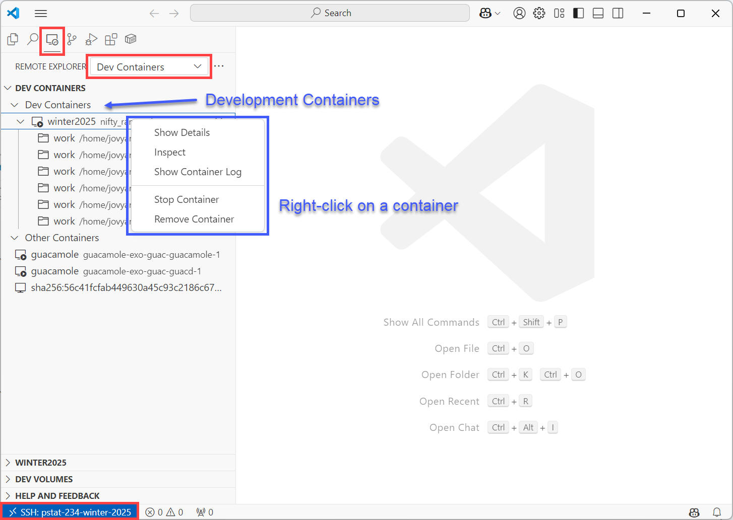 remote explorer listing all containers