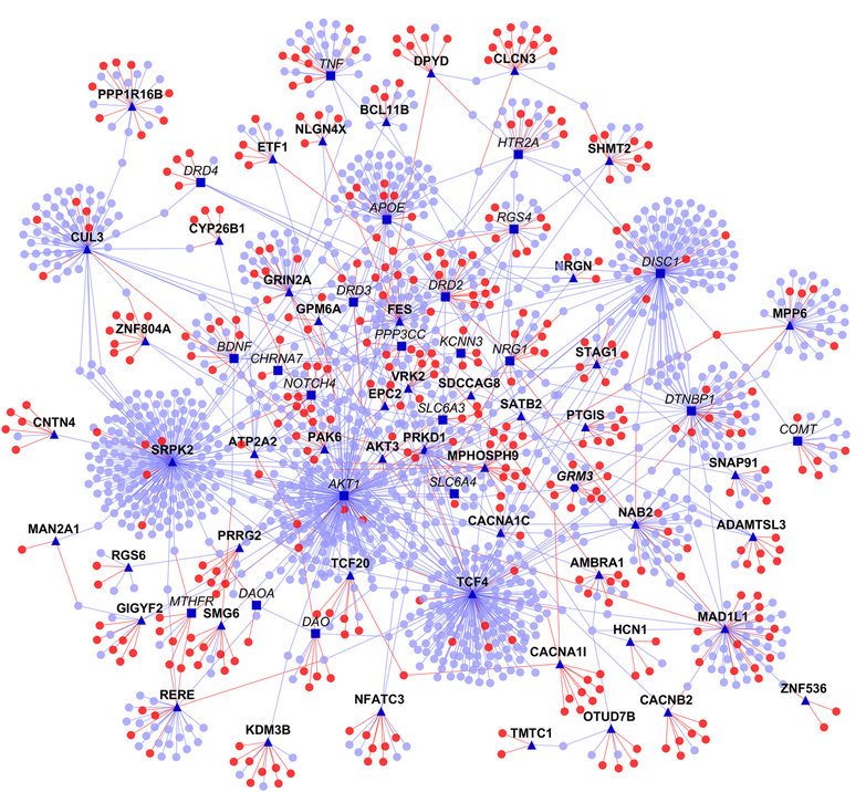 Gene Co-expression Network